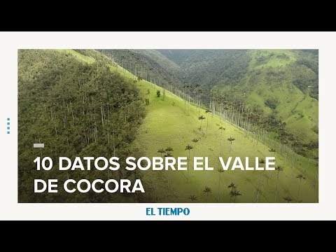 10 datos sobre el valle de Cocora