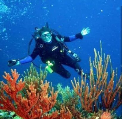 Buceo en Islas del Rosario Cartagena