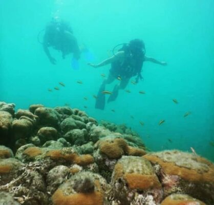 buceo padi cartagena