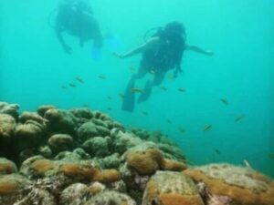 buceo padi cartagena