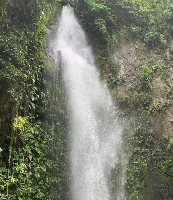 balsaje rio la vieja quimbaya