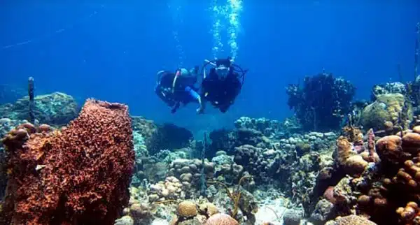 buceo en baru cartagena