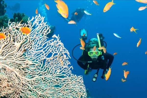 Este buceo es uno de los mas sencillos en santa marta por su caracter recreativo.