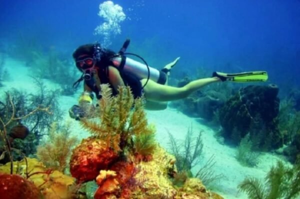 El buceo en santa marta se practica a una prifundidad de 5 a 7 metros