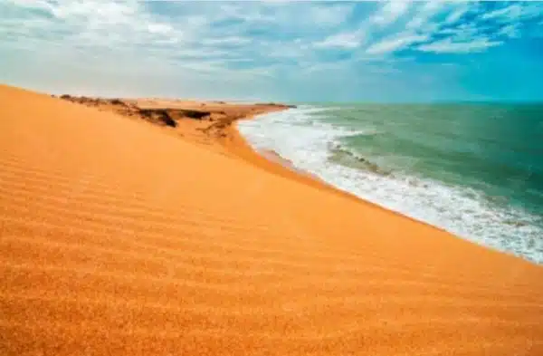 cabo de la vela tours