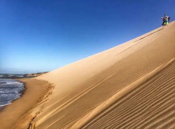 dunas de taroa tour