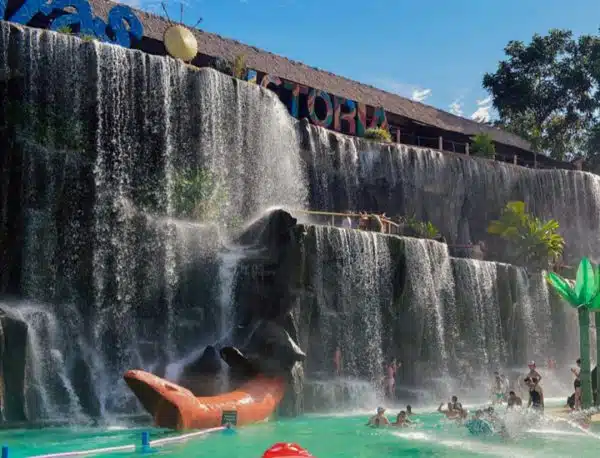 Momentos destacados de la excursión a Hacienda Nápoles