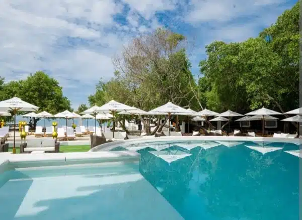 Una piscina con sombrillas y árboles al fondo