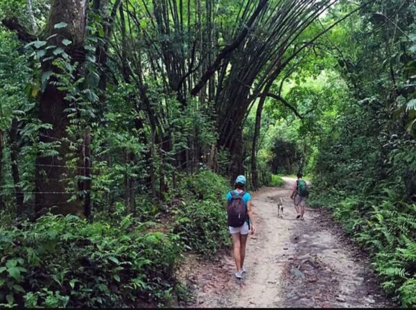 mujer caminando por el sendero que se hace en el tour a minca en santa marta