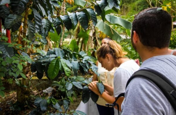 turistas conociendo sobre el proceso del café, actividad que realizamos en el tour del café en minca